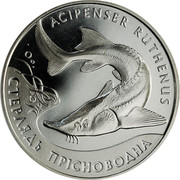 Ukraine 2 Hryvni The Sterlet 2012 KM# 688 ACIPENSER RUTHENUS СТЕРЛЯДЬ ПРІСНОВОДНА coin reverse Ukraine 2 Hryvni The Sterlet 2012 KM# 688 ACIPENSER RUTHENUS СТЕРЛЯДЬ ПРІСНОВОДНА coin reverse