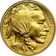USA $25 American Buffalo 2008 W KM# 413 LIBERTY W 2008 coin obverse USA $25 American Buffalo 2008 W KM# 413 LIBERTY W 2008 coin obverse