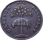 UK Sixpence Nottinghamshire - Arnold Works 1791  DAVISON AND HAWKSLEY coin obverse