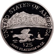 USA $25 American Eagle 2002 W Proof KM# 340 W UNITED STATES OF AMERICA .9995 PLATINUM 1/4 OZ. $25 coin reverse USA $25 American Eagle 2002 W Proof KM# 340 W UNITED STATES OF AMERICA .9995 PLATINUM 1/4 OZ. $25 coin reverse