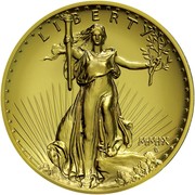 USA Twenty Dollars St. Gaudens Double Eagle - Ultra high relief 2009 KM# 464 LIBERTY M∙M∙I∙X coin obverse USA Twenty Dollars St. Gaudens Double Eagle - Ultra high relief 2009 KM# 464 LIBERTY M∙M∙I∙X coin obverse