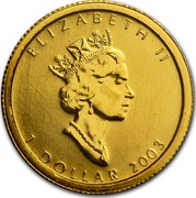 Canada 1 Dollar Maple Leaf 2003 KM# 238 ELIZABETH II 1 DOLLAR coin obverse Canada 1 Dollar Maple Leaf 2003 KM# 238 ELIZABETH II 1 DOLLAR coin obverse