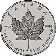 Canada 20 Dollars Elizabeth II 2nd Portrait 1989 KM# 166 CANADA 9995 9995 FINE PLATINUM 1/4 OZ PLATINE PUR coin reverse Canada 20 Dollars Elizabeth II 2nd Portrait 1989 KM# 166 CANADA 9995 9995 FINE PLATINUM 1/4 OZ PLATINE PUR coin reverse