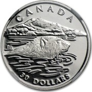 Canada 30 Dollars Polar bear 1990 Proof KM# 174 CANADA 30 DOLLARS RB coin reverse Canada 30 Dollars Polar bear 1990 Proof KM# 174 CANADA 30 DOLLARS RB coin reverse