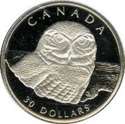 Canada 30 Dollars Snowy Owl 1991 Proof KM# 198 CANADA 30 DOLLARS coin reverse Canada 30 Dollars Snowy Owl 1991 Proof KM# 198 CANADA 30 DOLLARS coin reverse