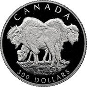 Canada 300 Dollars Bison 1997 Proof KM# 303 CANADA 300 DOLLARS coin reverse Canada 300 Dollars Bison 1997 Proof KM# 303 CANADA 300 DOLLARS coin reverse