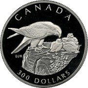 Canada 300 Dollars Falcon 1996 Proof KM# 281 CANADA 300 DOLLARS coin reverse Canada 300 Dollars Falcon 1996 Proof KM# 281 CANADA 300 DOLLARS coin reverse