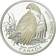 Canada 50 Cents Red-tailed Hawk 2000 Proof KM# 390 BUTEO JAMALCENSIS CANADA 50 CENTS 2000 coin reverse Canada 50 Cents Red-tailed Hawk 2000 Proof KM# 390 BUTEO JAMALCENSIS CANADA 50 CENTS 2000 coin reverse