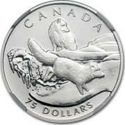 Canada 75 Dollars Arctic fox 1993 Proof; in sets only KM# 241 CANADA 75 DOLLARS CD coin reverse Canada 75 Dollars Arctic fox 1993 Proof; in sets only KM# 241 CANADA 75 DOLLARS CD coin reverse