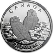 Canada 75 Dollars Snowy Owl 1991 Proof KM# 199 CANADA 75 DOLLARS GL coin reverse Canada 75 Dollars Snowy Owl 1991 Proof KM# 199 CANADA 75 DOLLARS GL coin reverse