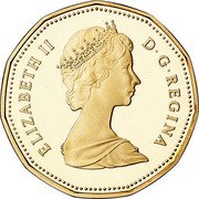 Canada Dollar Proof Loon 1989 Proof KM# 157 ELIZABETH II D ∙ G ∙ REGINA coin obverse Canada Dollar Proof Loon 1989 Proof KM# 157 ELIZABETH II D ∙ G ∙ REGINA coin obverse