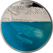 New Zealand 1 Dollar Sperm Whale 2018 Proof ONE DOLLAR SPERM WHALE PHYSETER MACROCEPHALUS coin reverse