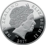 New Zealand $1 (Southern Lights) NEW ZEALAND ELIZABETH II 2017 IRB coin obverse New Zealand $1 (Southern Lights) NEW ZEALAND ELIZABETH II 2017 IRB coin obverse