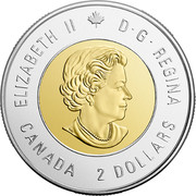 Canada 2 Dollars The Battle of Vimy Ridge 2017 UNC ELIZABETH II D G REGINA CANADA 2 DOLLARS SB coin obverse Canada 2 Dollars The Battle of Vimy Ridge 2017 UNC ELIZABETH II D G REGINA CANADA 2 DOLLARS SB coin obverse