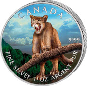 Canada 5 Dollars Canadian Wildlife Series Cougar 2012 UNC CANADA FINE SILVER 1 OZ ARGEN PUR 9999 coin reverse Canada 5 Dollars Canadian Wildlife Series Cougar 2012 UNC CANADA FINE SILVER 1 OZ ARGEN PUR 9999 coin reverse