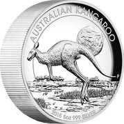 Australia 8 Dollars Australian Kangaroo 2015 Proof AUSTRALIAN KANGAROO 2015 5 OZ 999 SILVER P coin reverse Australia 8 Dollars Australian Kangaroo 2015 Proof AUSTRALIAN KANGAROO 2015 5 OZ 999 SILVER P coin reverse