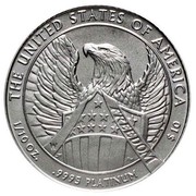 USA $10 Burnished American Eagle 2007 W Proof KM# 414 UNITED STATES OF AMERICA FREEDOM 1/10 OZ. .9995 PLATINUM $10 coin reverse USA $10 Burnished American Eagle 2007 W Proof KM# 414 UNITED STATES OF AMERICA FREEDOM 1/10 OZ. .9995 PLATINUM $10 coin reverse