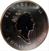Canada 2 Dollars Maple Leaf Hologram 2003 Proof KM# 618 ELIZABETH II 2 DOLLARS 2003 coin obverse Canada 2 Dollars Maple Leaf Hologram 2003 Proof KM# 618 ELIZABETH II 2 DOLLARS 2003 coin obverse