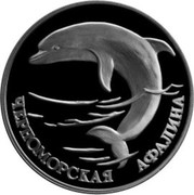Russia One Rouble Dolphin 1995 Proof Y# 448 ЧЕРНОМОРСКАЯ АФАЛИНА coin reverse Russia One Rouble Dolphin 1995 Proof Y# 448 ЧЕРНОМОРСКАЯ АФАЛИНА coin reverse