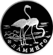 Russia One Rouble Flamingo 1997 ЛМД Proof Y# 611 ФЛАМИНГО coin reverse Russia One Rouble Flamingo 1997 ЛМД Proof Y# 611 ФЛАМИНГО coin reverse