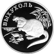 Russia One Rouble Muskrat 2000 СП Proof Y# 721 ВЫХУХОЛЬ coin reverse Russia One Rouble Muskrat 2000 СП Proof Y# 721 ВЫХУХОЛЬ coin reverse