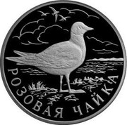 Russia One Rouble Seagull 1999 Proof Y# 643 РОЗОВАЯ ЧАЙКА coin reverse Russia One Rouble Seagull 1999 Proof Y# 643 РОЗОВАЯ ЧАЙКА coin reverse