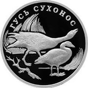 Russia Rouble Swan Goose 2006 Proof Y# 1058 ОДИН РУБЛЬ БАНК РОССИИ ∙ AG 925 ∙ 2006 Г. ∙ 15,55 СПМД ∙ coin obverse