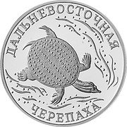 Russia Rouble The Far- Eastern Turtle 2003 СП Proof Y# 815 ДАЛЬНЕВОСТОЧНАЯ ЧЕРЕПАХА coin reverse