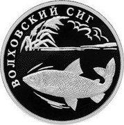 Russia Rouble White-Fish of the Volkhov River 2005 Proof Y# 884 ОДИН РУБЛЬ БАНК РОССИИ ∙ AG 925 ∙ 2005 Г. ∙ 15,55 СПМД ∙ coin obverse Russia Rouble White-Fish of the Volkhov River 2005 Proof Y# 884 ОДИН РУБЛЬ БАНК РОССИИ ∙ AG 925 ∙ 2005 Г. ∙ 15,55 СПМД ∙ coin obverse