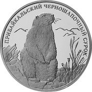 Russia Two Roubles Marmot 2008 Proof Y# 979 ПРИБАЙКАЛЬСКИЙ ЧЕРНОШАПОЧНЫЙ СУРОК coin reverse Russia Two Roubles Marmot 2008 Proof Y# 979 ПРИБАЙКАЛЬСКИЙ ЧЕРНОШАПОЧНЫЙ СУРОК coin reverse
