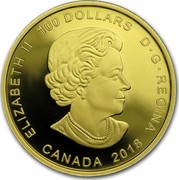Canada 100 Dollars Frog Reveals a Gift 2018 ELIZABETH II 100 DOLLARS D∙G∙REGINA CANADA 2018 SB coin obverse Canada 100 Dollars Frog Reveals a Gift 2018 ELIZABETH II 100 DOLLARS D∙G∙REGINA CANADA 2018 SB coin obverse