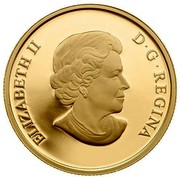 Canada 100 Dollars The Adventures of Superman 2014 Proof KM# 1751 ELIZABETH II D ∙ G ∙ REGINA coin obverse Canada 100 Dollars The Adventures of Superman 2014 Proof KM# 1751 ELIZABETH II D ∙ G ∙ REGINA coin obverse