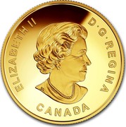 Canada 100 Dollars The Justice League™ - United We Stand 2018 ELIZABETH II D. G. REGINA CANADA coin obverse Canada 100 Dollars The Justice League™ - United We Stand 2018 ELIZABETH II D. G. REGINA CANADA coin obverse