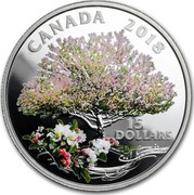 Canada 15 Dollars Celebration of Spring - Apple Blossoms 2018 CANADA 15 DOLLARS coin reverse Canada 15 Dollars Celebration of Spring - Apple Blossoms 2018 CANADA 15 DOLLARS coin reverse
