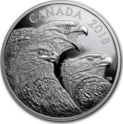 Canada 15 Dollars Magnificent Bald Eagles 2018 CANADA 2018 coin reverse Canada 15 Dollars Magnificent Bald Eagles 2018 CANADA 2018 coin reverse