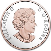 Canada 20 Dollars Best Wishes on Your Wedding Day 2017 Proof ELIZABETH II D G REGINA coin obverse Canada 20 Dollars Best Wishes on Your Wedding Day 2017 Proof ELIZABETH II D G REGINA coin obverse