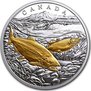 Canada 20 Dollars From Sea to Sea - Pacific Salmon 2017 CANADA coin reverse