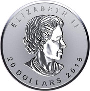 Canada 20 Dollars Maple Leaf 2018 Proof ELIZABETH II 20 DOLLARS 2018 coin obverse Canada 20 Dollars Maple Leaf 2018 Proof ELIZABETH II 20 DOLLARS 2018 coin obverse