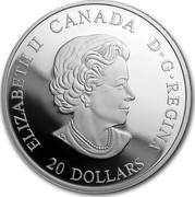 Canada 20 Dollars Norse Figureheads - Northern Fury 2018 ELIZABETH II D. G. REGINA CANADA 20 DOLLARS coin obverse Canada 20 Dollars Norse Figureheads - Northern Fury 2018 ELIZABETH II D. G. REGINA CANADA 20 DOLLARS coin obverse