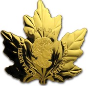 Canada 200 Dollars Autumn Fire 2017 ELIZABETH II D. G. REGINA CANADA coin obverse Canada 200 Dollars Autumn Fire 2017 ELIZABETH II D. G. REGINA CANADA coin obverse