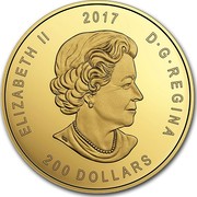 Canada 200 Dollars Elk 2017 Bullion; sealed assay card packaging ELIZABETH II 2017 D • G • REGINA 200 DOLLARS SB coin obverse Canada 200 Dollars Elk 2017 Bullion; sealed assay card packaging ELIZABETH II 2017 D • G • REGINA 200 DOLLARS SB coin obverse