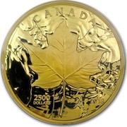 Canada 2500 Dollars Sugar Maple Majesty 2018 CANADA 2500 DOLLARS 2018 coin reverse