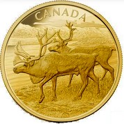 Canada 2500 Dollars The Caribou 2013 Proof KM# 1501 CANADA coin reverse Canada 2500 Dollars The Caribou 2013 Proof KM# 1501 CANADA coin reverse