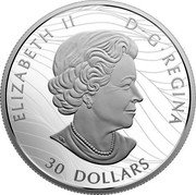 Canada 30 Dollars Canadian Canopy - The Maple Leaf 2018 ELIZABETH II D G REGINA 30 DOLLARS SB coin obverse Canada 30 Dollars Canadian Canopy - The Maple Leaf 2018 ELIZABETH II D G REGINA 30 DOLLARS SB coin obverse