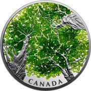 Canada 30 Dollars Canadian Canopy - The Maple Leaf 2018 CANADA coin reverse Canada 30 Dollars Canadian Canopy - The Maple Leaf 2018 CANADA coin reverse