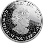 Canada 30 Dollars Fireworks At the Falls 2018 ELIZABETH II CANADA 2018 D G REGINA 30 DOLLARS coin obverse Canada 30 Dollars Fireworks At the Falls 2018 ELIZABETH II CANADA 2018 D G REGINA 30 DOLLARS coin obverse