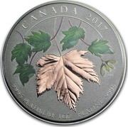 Canada 300 Dollars Maple Leaf Forever (Colored leafs) 2017 9995 CANADA PLATINUM 1 OZ PLATINE 2017 9995 coin reverse