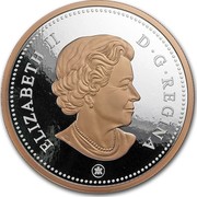 Canada 5 Cents Big Coin Series Beaver 2018 ELIZABETH II D G REGINA coin obverse Canada 5 Cents Big Coin Series Beaver 2018 ELIZABETH II D G REGINA coin obverse