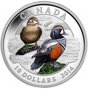 Canada 10 Dollars Harlequin Duck 2014 Proof KM# 1787 CANADA 10 DOLLARS 2014 coin reverse Canada 10 Dollars Harlequin Duck 2014 Proof KM# 1787 CANADA 10 DOLLARS 2014 coin reverse