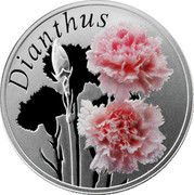 Belarus 10 Roubles The Carnation 2013 Proof KM# 518 DIANTHUS coin reverse Belarus 10 Roubles The Carnation 2013 Proof KM# 518 DIANTHUS coin reverse